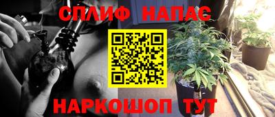 сатива Заволжье