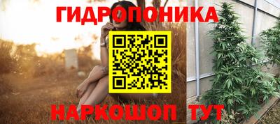 сатива Заволжье